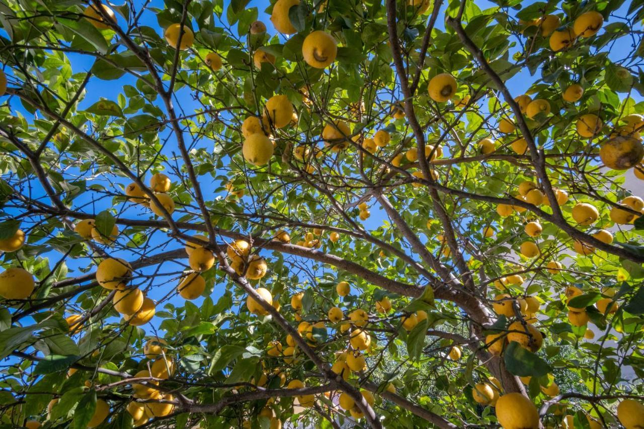 B&B Ziu Anacletu Villaputzu Bagian luar foto